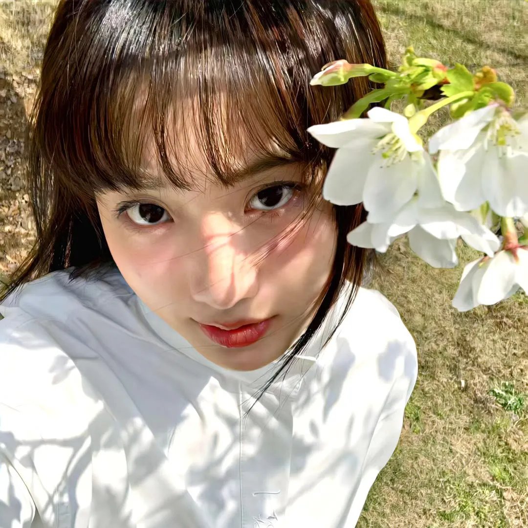 完美革命