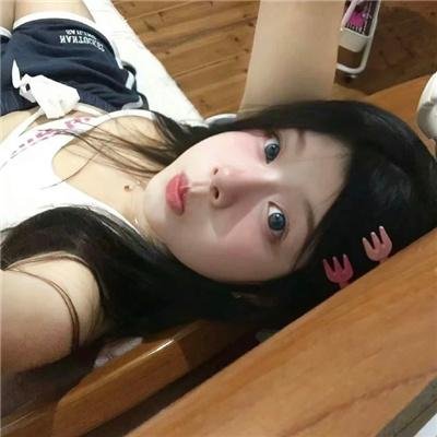森林之境